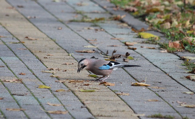 价值