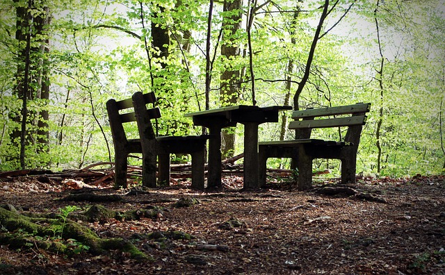 断成
